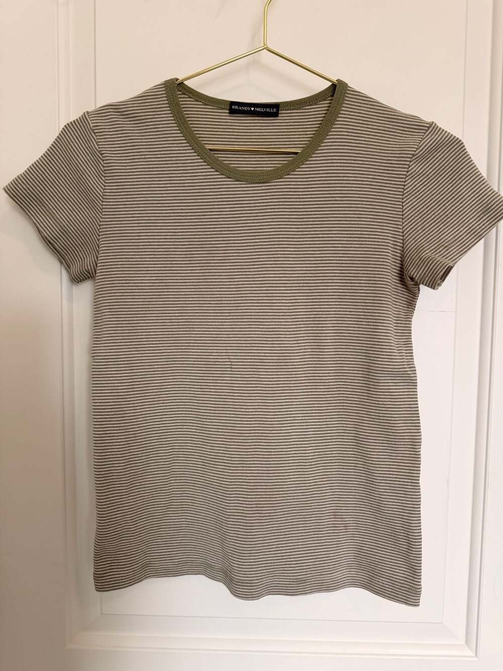Brandy Melville Basic Cotton Tee Ashlyn Green and White Striped Fitted T-Shirt